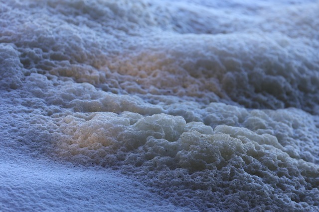 Vesikler: Naturens små transportkapsler